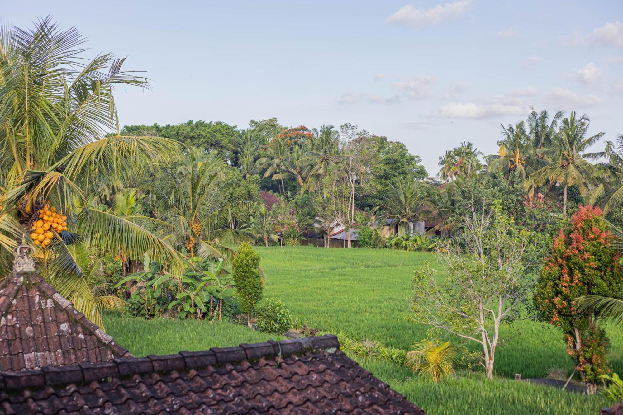 Sari Bamboo Bungalows Ubud  Phòng bức ảnh